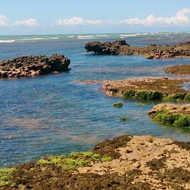 Caboco Sonhado Passeios Nauticos E Pousada Ξενοδοχείο Mundaú Εξωτερικό φωτογραφία